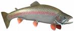 rainbowtrout