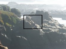 PareidoliicSeal